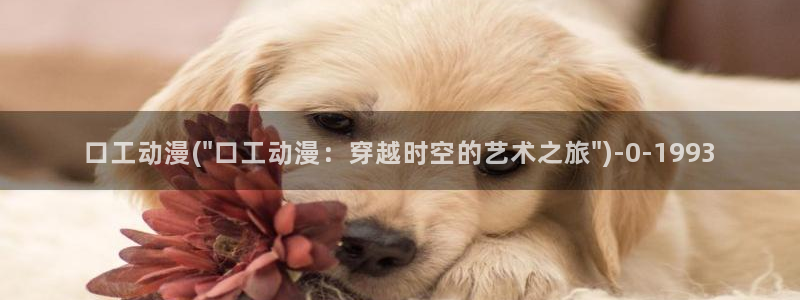 风车动漫