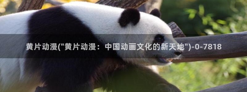 好看动漫网