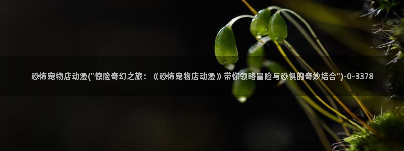 看动漫的网站